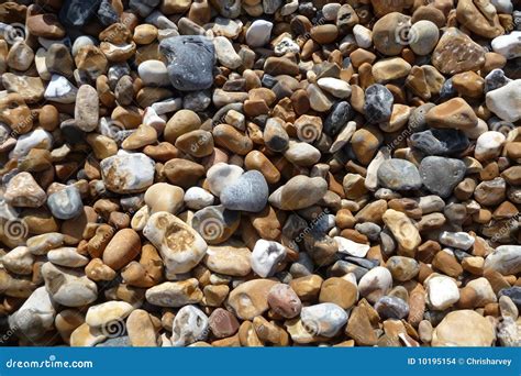 Stones On Brighton Beach Stock Photo Image Of Costal 10195154