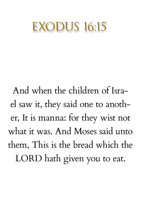 Exodus 16 15 And When The Children Of Israel Saw It They Said One To