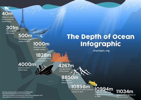 Quantos Porcento Do Oceano Foi Explorado