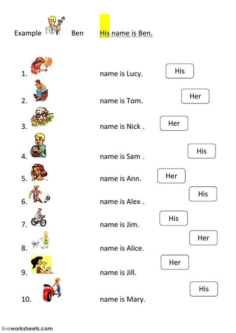Worksheets For Possessive Pronouns