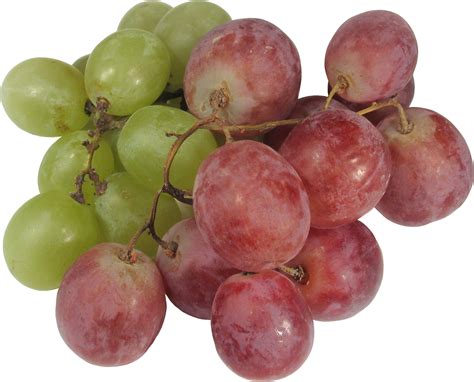 Grape Png Image Free Picture Download