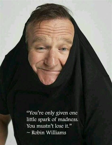 Robin Williams Quotes Robin Williams Words