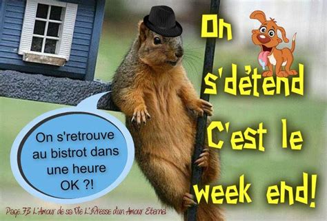 écureuil - Images, photos et illustrations gratuites pour facebook - Page 2
