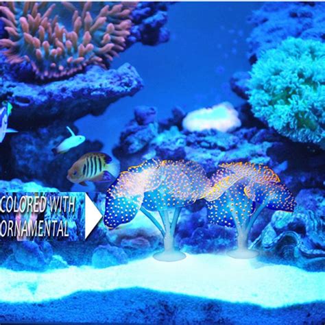 Aquarium 2pcsset Coral Fish Tank Silica Gel Simulation Sucker Coral