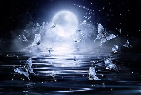 Night Butterfly Wallpapers Wallpaper Cave
