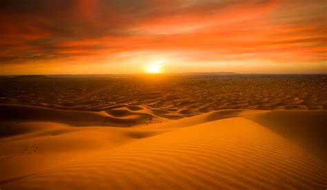 Sahara Desert Horizon Hd Wallpaper Wallpaper Flare