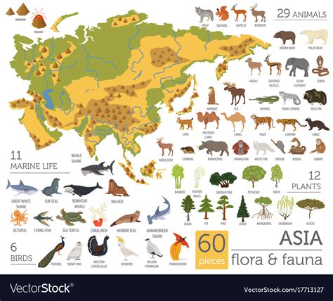 Flat Asian Flora And Fauna Map Constructor Vector Image