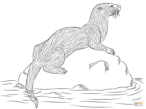 River Otter Coloring Pages Coloring Pages