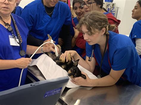Veterinary Technology Programs Regional Occupational Center