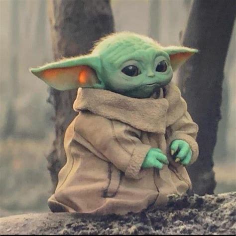 Day 150 Without Seeing Baby Yoda Even Normal Yoda Is Starting To Look