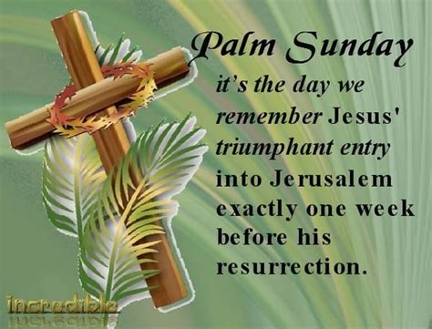 Everything in your body tingles, but it's the most wonderful. His Cornerstone, LLC (@HisCornerstone1) | Twitter | Palm sunday quotes, Happy palm sunday, Good ...