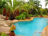 Tropical Plants For Pool Landscaping Pictures