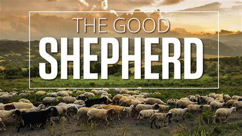 John 1011 18 The Good Shepherd Part 2 Harvest Plains Church