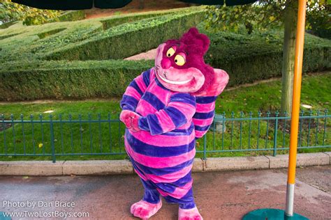 With all that said, the cheshire cat tail was a perfect pick me up so i could continue touring for the rest of the day. Cheshire Cat | Disneyland Paris. October 2017. www ...