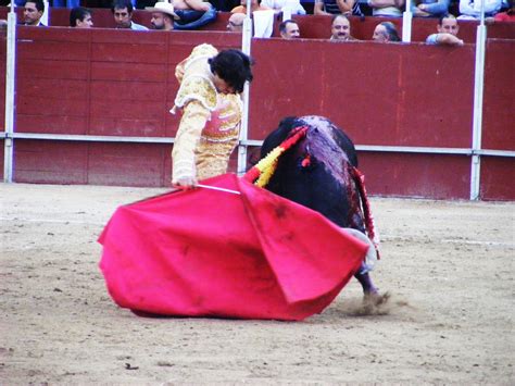 Ganaderia Antonio San Roman Humanes Los Tres Toreros A Hombros En