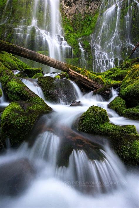 Proxy Falls By Pete Wongkongkathep Denlart Scenic Waterfall