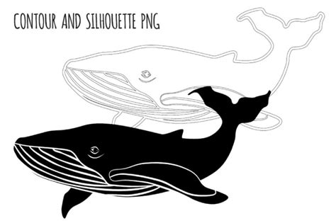 Whale Files For Cricut Whale Svg Whale Clipart Whale Png Fin Whale Svg