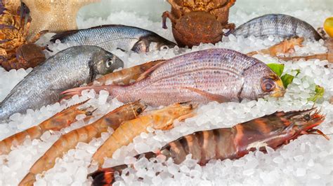 Fresh Fish On Ice Free Stock Photo Public Domain Pictures