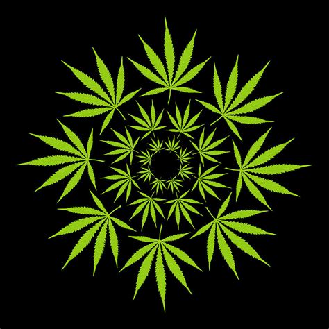 Cannabis Leaf Circle Digital Art By Thisis Notme Pixels