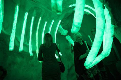 Inside Meow Wolf — A Closer Look At The Immersive Art Wonderland Taking