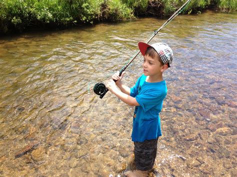 Watching a master fly fisherman cast is simply. Free Camping, Fly Tying and Fly Fishing - The Fly Trout ...
