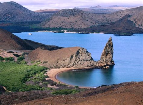 Pinzones de darwin (islas galápagos). Animals Plants Rainforest: Galapagos islands facts ...