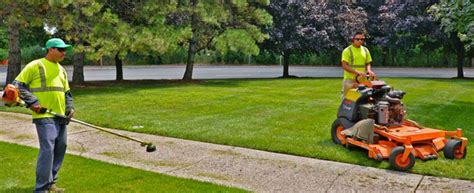 Pros And Cons Of Landscaping Services Totse