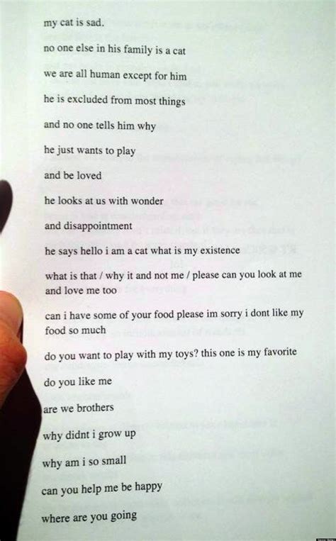 Sad Cat Poem Will Make You Laugh And Cry Simultaneously Photo Huffpost