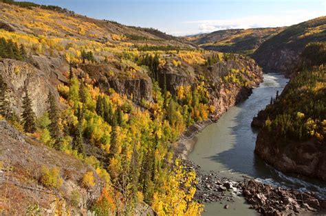 Stikine River The Canadian Encyclopedia