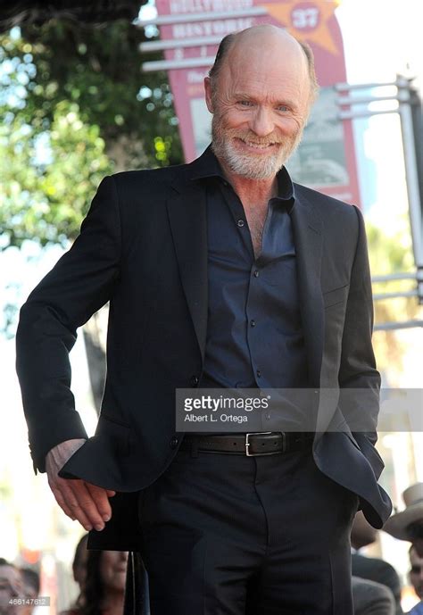 pin by amy martin on ed harris hollywood walk of fame walk of fame actors
