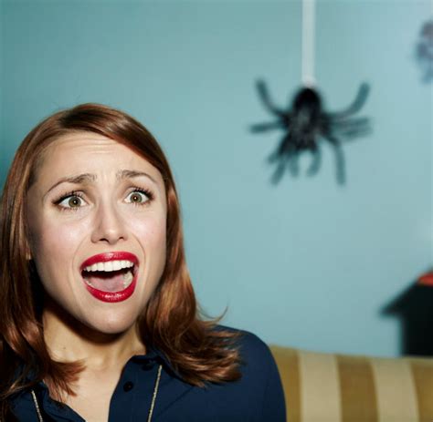 Quiz für Furchtlose Wetten du kennst nicht alle Phobien WELT