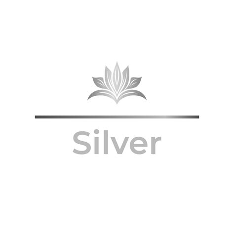 Silver Package Mioteq Influencer Marketing Experts