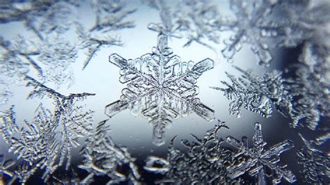 Snowflake Full Hd Wallpaper And Background Image 1920x1080 Id559853