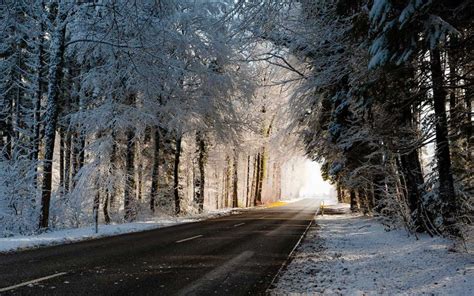 🔥 Winter Tree Forest Road Background Full Hd Wallpaper Cbeditz