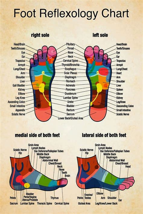 Massage Therapist Foot Reflexology Chart 1 Poster Vintage Poster Etsy