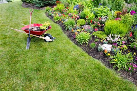 5 Ways To Properly Prepare Your Garden For The Summer Heat Ald