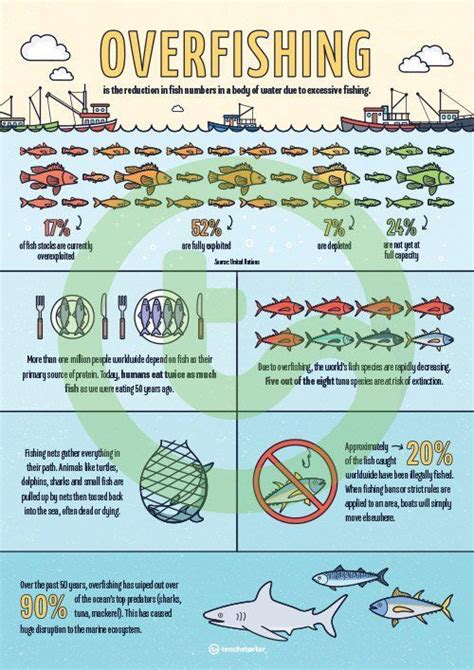 The Impact Of Overfishing Infographic Poster