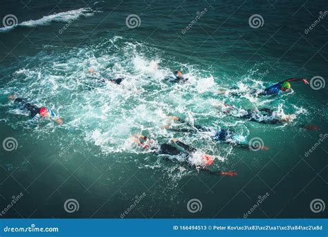 Professional Swimmers Swim During Competition In The Sea Open Water
