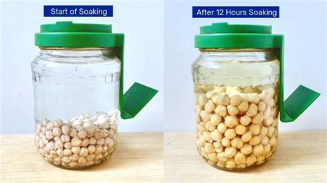 how to sprout chickpeas step by step guide lb health and lifestyle