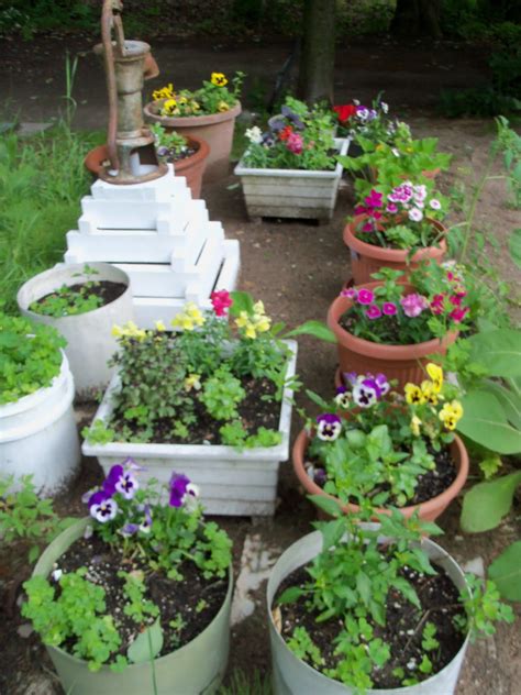 Rainbowwritimages Container Gardening