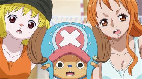 Carrot Chopper And Nami One Piece Anime Episode 785 One Piece Anime