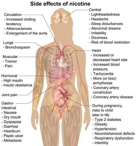 File Side Effects Of Nicotine Png Wikipedia