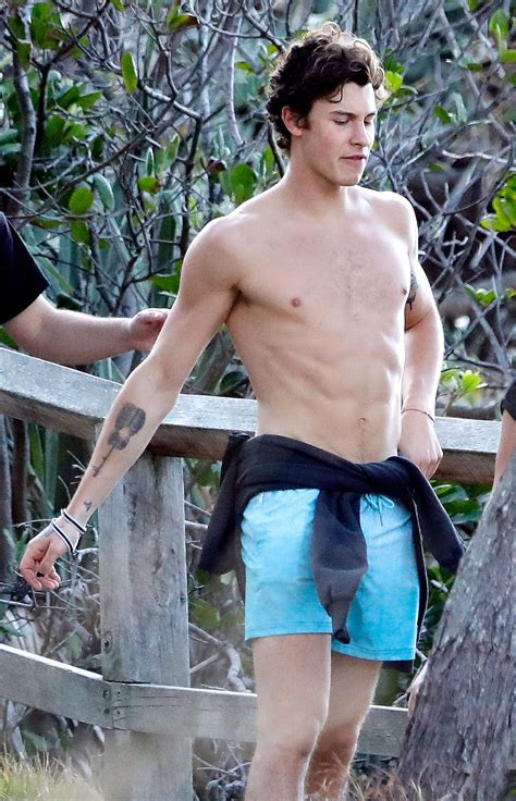 Shawn Mendes Goes Shirtless On Australia Beach With Friends