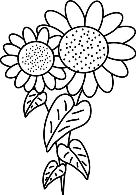 16 gambar kolase terbaik appliques coloring pages for kids dan. Gambar Bunga Matahari Hitam Putih | Harian Nusantara