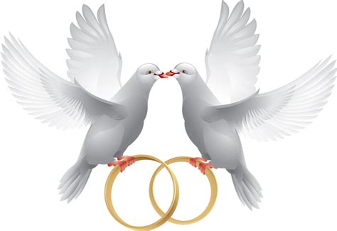 Marriage Clipart Dove Wedding Ring With Dove Free Transparent Png