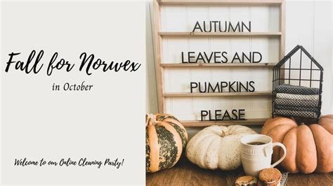 Fall For Norwex This October 🍂🎃 Norwex Norwex Party Norwex Consultant