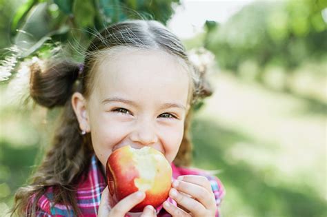 Girl With Apple In The Apple Orchard Stock Photo Download Image Now
