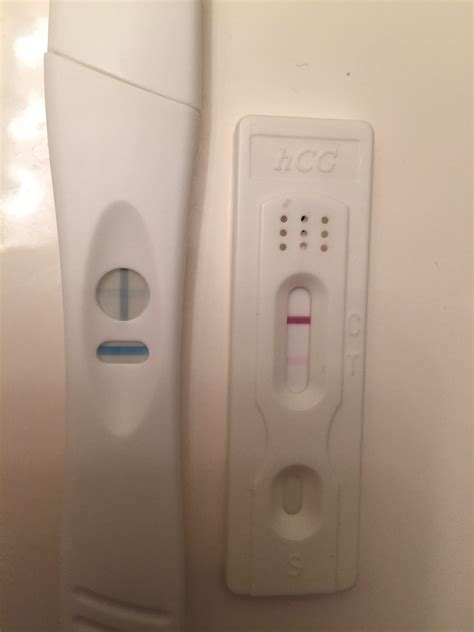 What Does A Positive Pregnancy Test Really Look Like Page 19 — The Bump