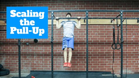 Scaling The Pull Up The Barbell Physio