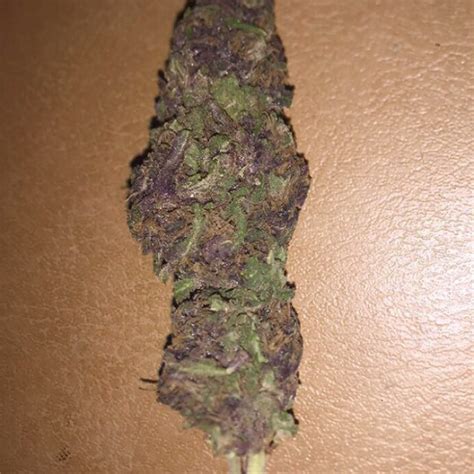 Photos Of Platinum Purple Kush Weed Strain Buds Leafly